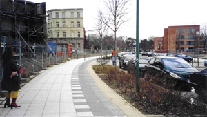 wosch l�uft fast gegen baum