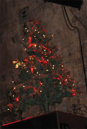 Ein beeindruckender Baum..