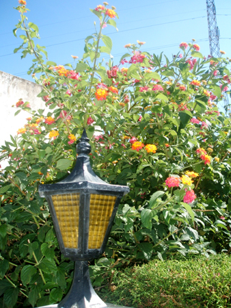 der blühende garten..