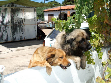 kriegen wir auch was..?