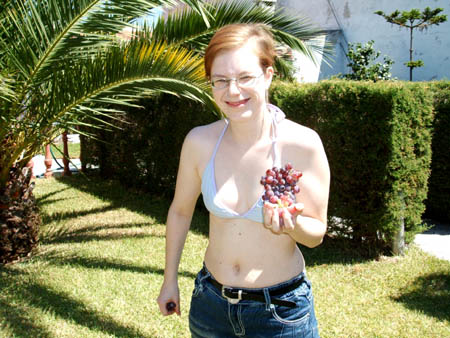 ..die süßesten früchte des südens..