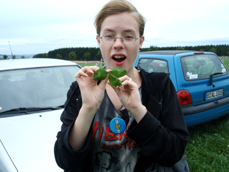 riesige kleeblätter!