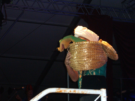 der giftigste wollstrumpf..