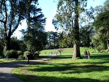 Golden Gate Park