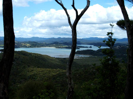 Bay Of Islands von oben