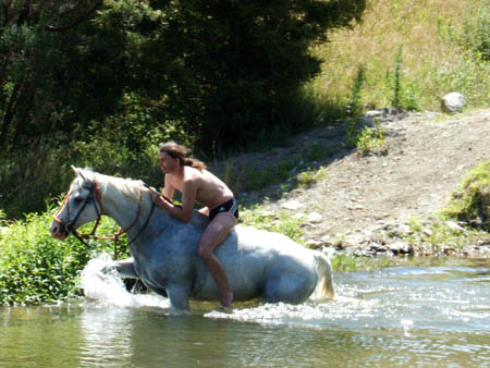 Springhuhn auf hohem Roß