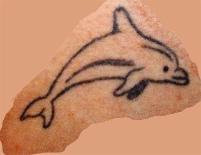 springhuhns delphin..