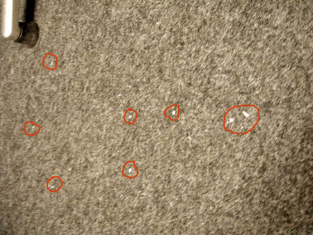 hautschuppen (in den roten kreisen!)