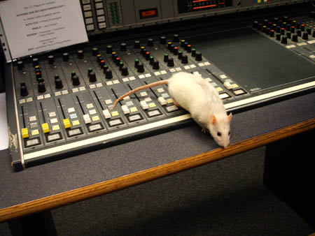 iih, eine ratte aufm mischpult!!