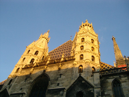 stefansdom im abendlicht